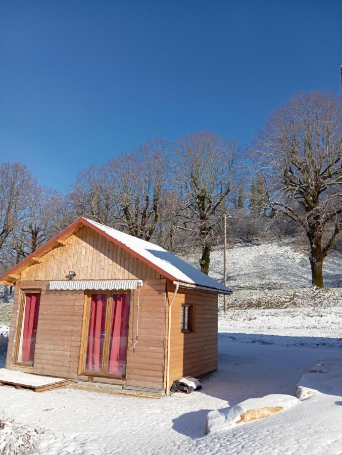 La P'Tite Maison Bois Du Herisson Menetrux-en-Joux エクステリア 写真